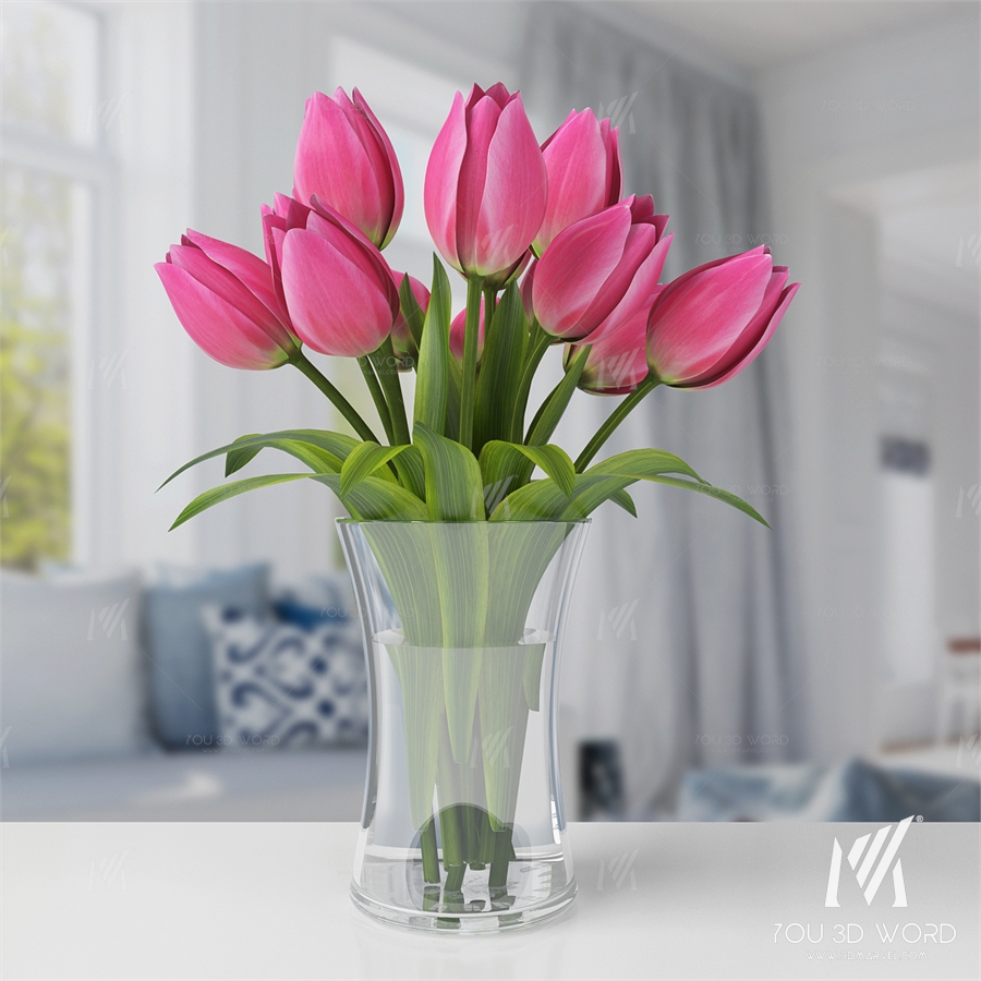 Tulips